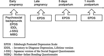 The Risk Factors Predicting Suicidal Ideation Among Perinatal Women in Japan